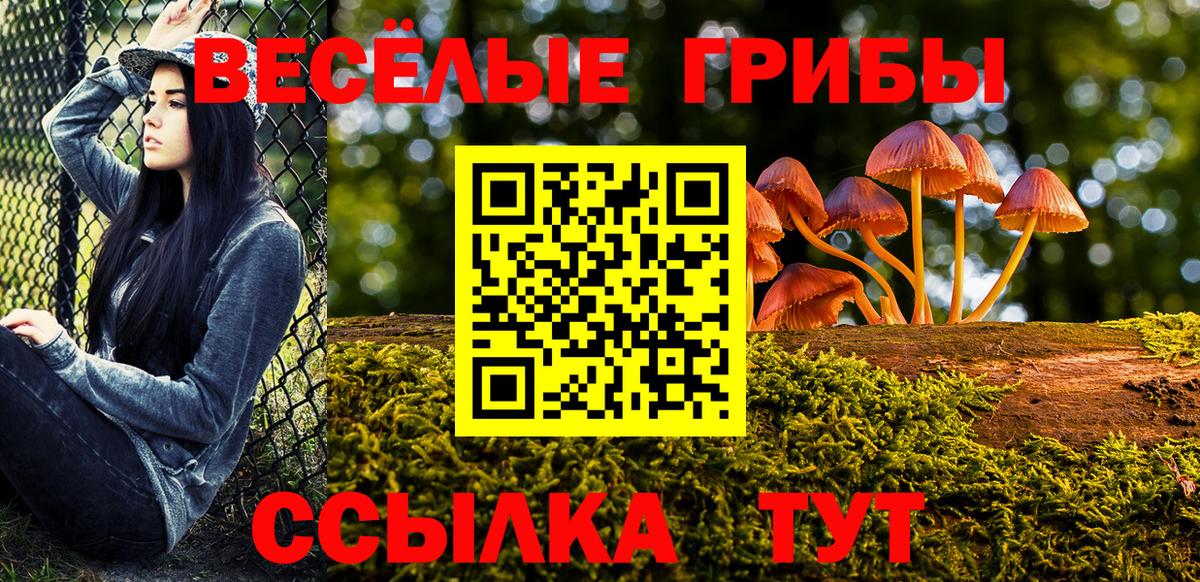 Псилоцибиновые грибы мицелий  Вход с VPN  Красный Сулин  Галлюциногенные грибы GOLDEN TEACHER 