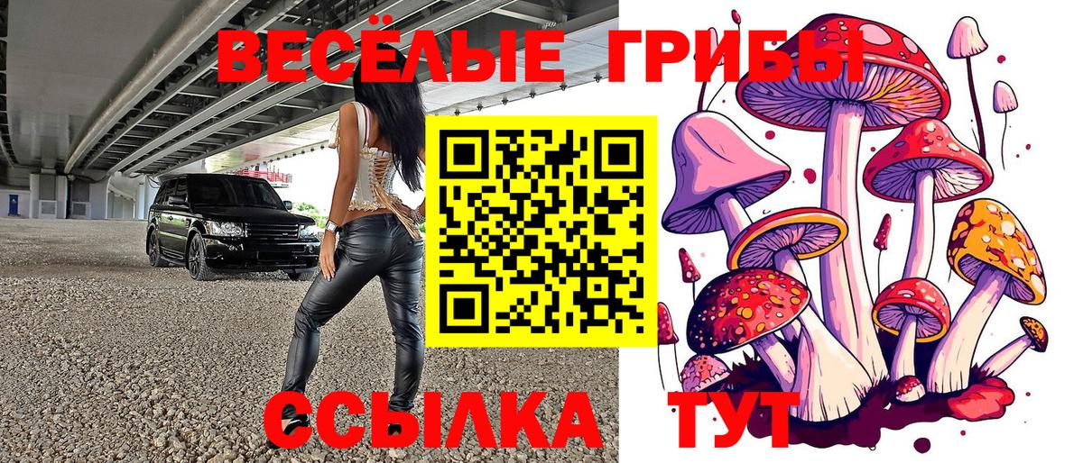 Псилоцибиновые грибы мицелий Красный Сулин